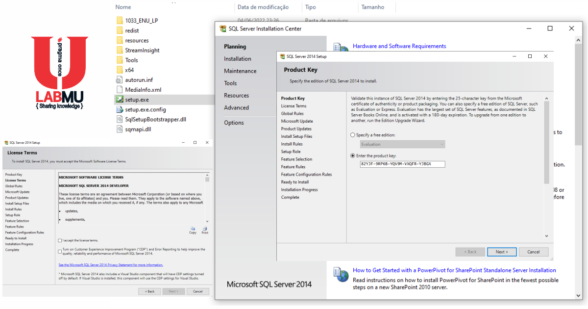 Labmu downloads sql server